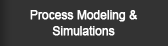 Process Modeling & Simulations